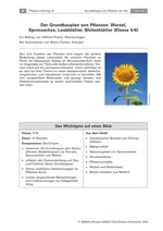 Wurzel, Sprossachse, Laubblätter, Blütenblätter - der Grundbauplan von Pflanzen - Bau und Funktion von Pflanzen - Biologie