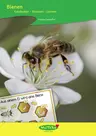 Bienen - Unterrichtseinheit Sachunterricht - Entdecken - staunen - lernen - Sachunterricht