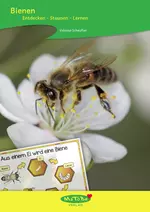 Bienen - Unterrichtseinheit Sachunterricht - Entdecken - staunen - lernen - Sachunterricht