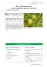 Ess- und Rosskastanie – zwei Laubbäume genauer betrachtet - Blütenpflanzen im Biologieunterricht - Biologie