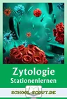 Zelllehre / Zytologie - Stationenlernen - Stationenlernen mit Test: Organellen und Aufbau von pflanzlichen und tierischen Zellen - Biologie