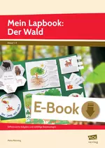 Mein Lapbook: Der Wald - Differenzierte Aufgaben und vielfältige Bastelvorlagen zu einem zentralen Lehrplanthema - Sachunterricht
