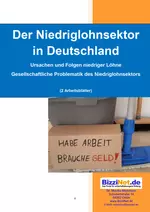 Der Niedriglohnsektor in Deutschland - Ursachen und Folgen niedriger Löhne - Sowi/Politik