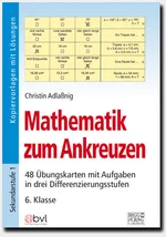 Mathematik zum Ankreuzen 6. Klasse - 48 Übungskarten mit Aufgaben in drei Differenzierungsstufen - Mathematik