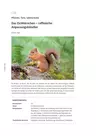 Das Eichhörnchen - raffinierter Anpassungskünstler - Pflanzen, Tiere, Lebensräume - Biologie