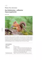 Das Eichhörnchen - raffinierter Anpassungskünstler - Pflanzen, Tiere, Lebensräume - Biologie