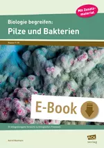 Biologie begreifen: Pilze und Bakterien - 23 alltagsbezogene Versuche zu biologischen Prozessen - Biologie