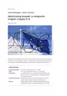 La inmigración irregular a España - Abiturtraining Spanisch kompakt - Spanisch