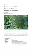 Spinnen – Ekelfaktor oder Raffinesse auf acht Beinen? - Tiere – wirbellose Tiere und Wirbeltiere  - Biologie