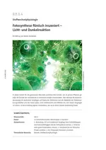 Fotosynthese filmisch inszeniert – Licht- und Dunkelreaktion - Stoffwechselphysiologie - Biologie
