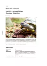 Reptilien – eine vielfältige Klasse der Wirbeltiere - Pflanzen, Tiere, Lebensräume - Biologie