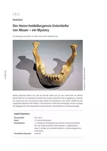 Der Homo-heidelbergensis-Unterkiefer von Mauer - ein Mystery - Evolution in der Oberstufe Biologie - Biologie