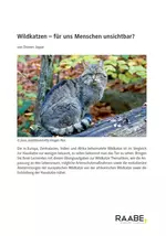Wildkatzen - Für uns Menschen unsichtbar? - Biologie