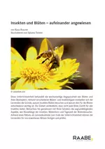 Insekten und Blüten - Aufeinander angewiesen - Biologie