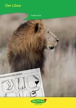 Der Löwe - König der Savanne - Differenzierte und fachübergreifende Löwen-Materialsammlung - Fachübergreifend