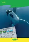 Wale - Riesen der Meere - Themenheft Meeresbewohner - Sachunterricht