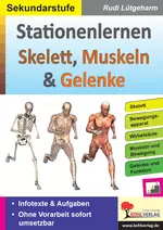 Stationenlernen Skelette, Muskeln & Gelenke - Ohne Vorarbeit sofort umsetzbar - Biologie