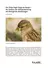 Ökologie: Der frühe Vogel fängt die Raupe - Der Einfluss der Klimaerwärmung auf ökologische Beziehungen - Biologie