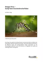 Dengue-Virus: Kampf dem Knochenbrecherfieber - Klausur Zellbiologie - Biologie