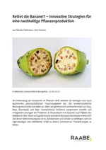 Genetik: Rettet die Banane?! - Innovative Strategien für eine nachhaltige Pflanzenproduktion - Biologie