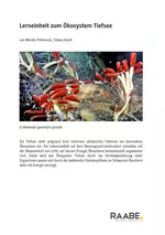 Lerneinheit zum Ökosystem Tiefsee - Ökologie - Ökosysteme - Biologie