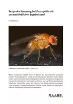 Reziproke Kreuzung bei Drosophila mit unterschiedlichen Ergebnissen? - Genetik: Klassische Genetik - Biologie