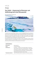 Ökologie: Der Eisbär - Anpassung im Polarmeer und Gefährdung durch den Klimawandel - Biologie