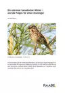 Evolution: Ein extremer kanadischer Winter - Und die Folgen für einen Inselvogel - Biologie