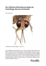 Die raffinierte Überlebensstrategie der Tsetsefliege Glossina tachinoides - Ökologie: Abiotische Faktoren - Biologie