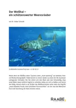 Ökologie: Der Weiße Hai oder auch Menschenhai - Ein schützenswerter Meeresräuber - Ökosysteme - Biologie