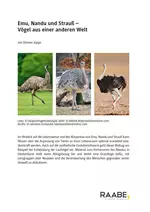Emu, Nandu und Strauß: Vögel aus einer anderen Welt - Evolution: Transspezifische Evolution - Biologie