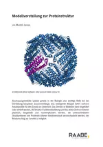 Modellvorstellung zur Proteinstruktur - Stoffwechsel und Energiehaushalt: Biochemische Grundlagen - Biologie