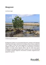 Ökologie: Mangroven - Klausur Ökosysteme . Abiturvorbereitung - Biologie
