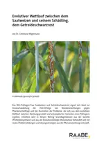 Evolutiver Wettlauf zwischen dem Saatweizen und dem Getreideschwarzrost - Genetik: Molekulargenetik - Biologie