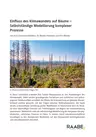 Einfluss des Klimawandels auf Bäume - Selbstständige Modellierung komplexer Prozesse - Biologie