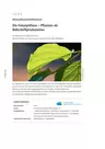 Die Fotosynthese - Blütenpflanzen / Stoffwechsel - Pflanzen als Nährstoffproduzenten - Biologie
