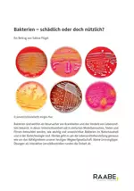 Bakterien - schädlich oder doch nützlich? - Immunbiologie - Biologie