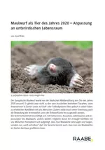 Maulwurf als Tier des Jahres 2020 - Anpassung an unterirdischen Lebensraum - Biologie