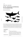 Der Hai - Anpassung und Bedeutung an das Ökosystem Meer - Biologie