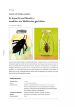 Insekten aus Wollresten gestalten - Es kreucht und fleucht - Kunst/Werken