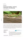 Wirbeltiere: Einheimische Reptilien - Anatomie, Lebenszyklus und Gefährdung - Biologie