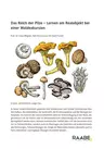 Das Reich der Pilze - Lernen am Realobjekt bei einer Waldexkursion - Biologie