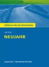 Juli Zeh: Neujahr - Interpretation und Textanalyse - Deutsch