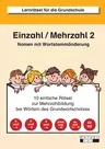Einzahl - Mehrzahl 2 - Nomen mit Wortstammänderung - Deutsch