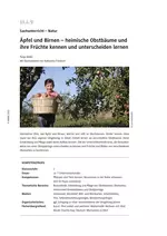 Heimische Obstbäume und ihre Früchte kennen und unterscheiden lernen - Äpfel und Birnen - Sachunterricht