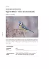 Vögel im Winter - kleine Kreativwerkstatt - Kunstprojekte und Kreativwerkstätten - Kunst/Werken