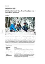 Das Ökosystem Wald und seine Tiere im Winter - Wenn es kalt wird - Sachunterricht