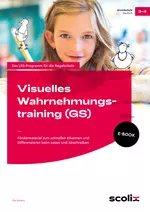 Visuelles Wahrnehmungstraining (Grundschule) - Fördermaterial zum schnellen Erkennen und Differenzieren beim Lesen und Abschreiben - Deutsch