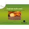 Mehr Stimmen für die Umwelt: Heiß ist nicht cool! - Ein Umwelt-Song für Klasse & Chor - Deutsch