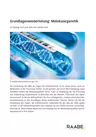 Grundlagenwiederholung: Molekulargenetik - Biologie Genetik Sekundarstufe II - Biologie